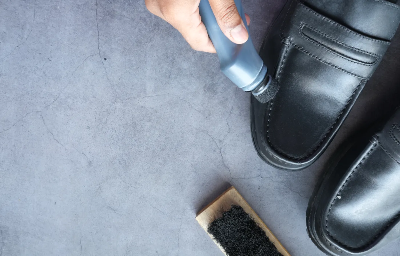electric shoe polisher